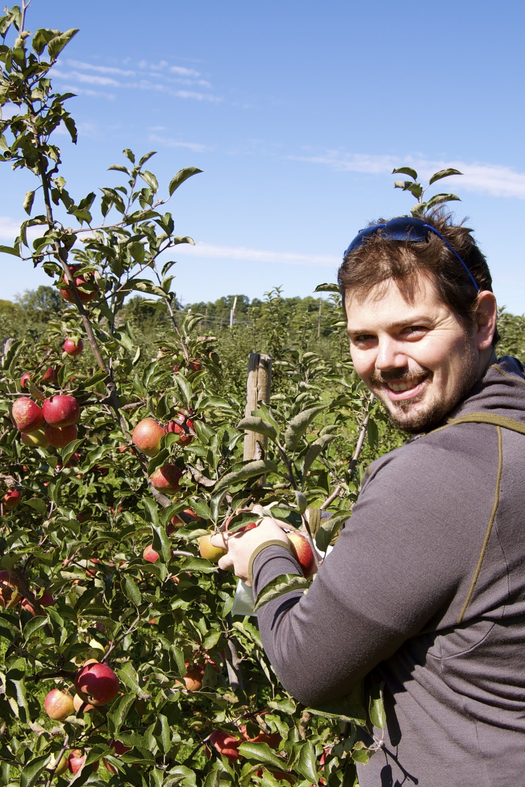 Great Lakes Adventure Travel Michigan Apple Picking