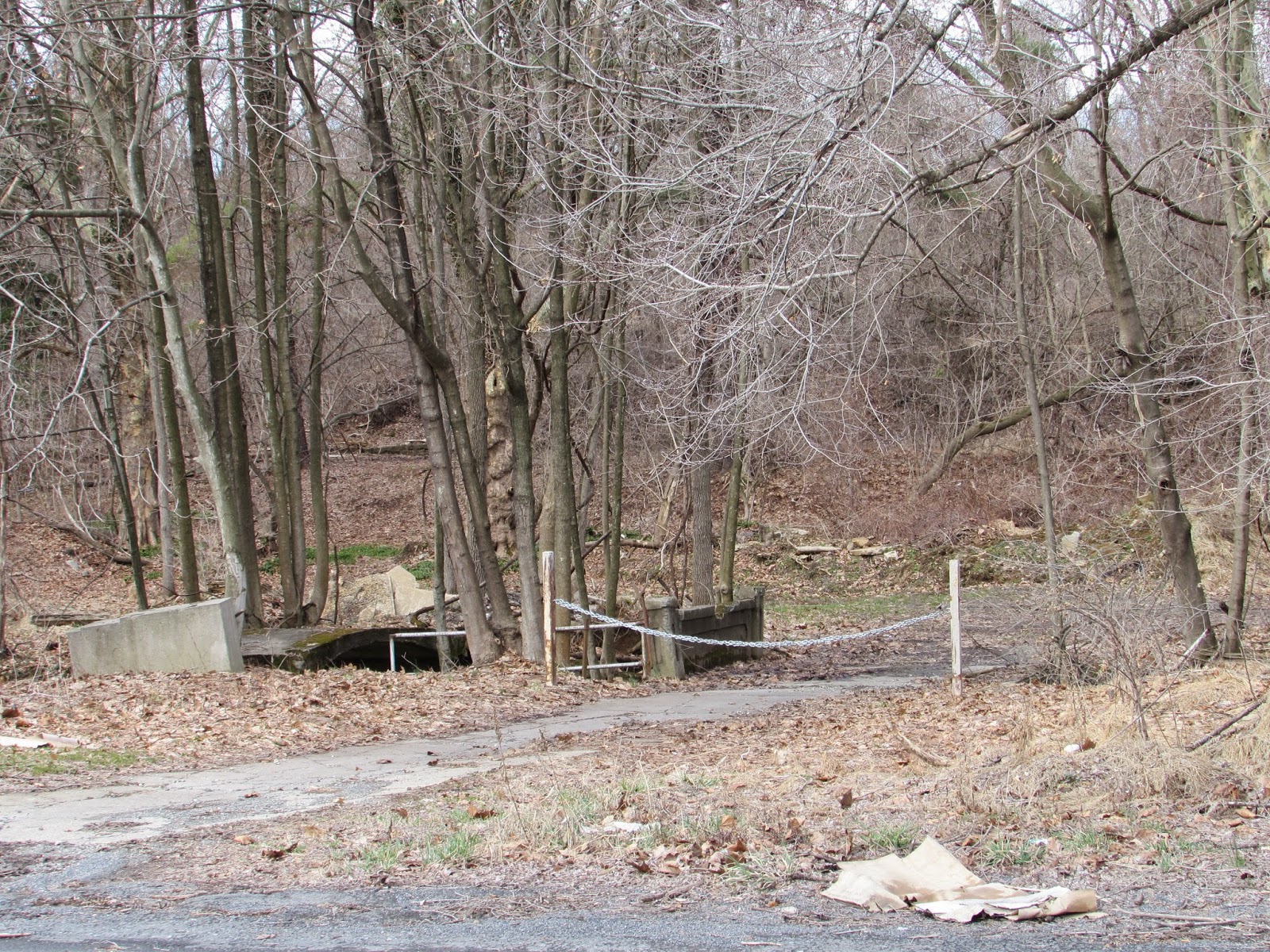The Former Willow Park, Butztown/Bethlehem Township, PA Coaster Talk