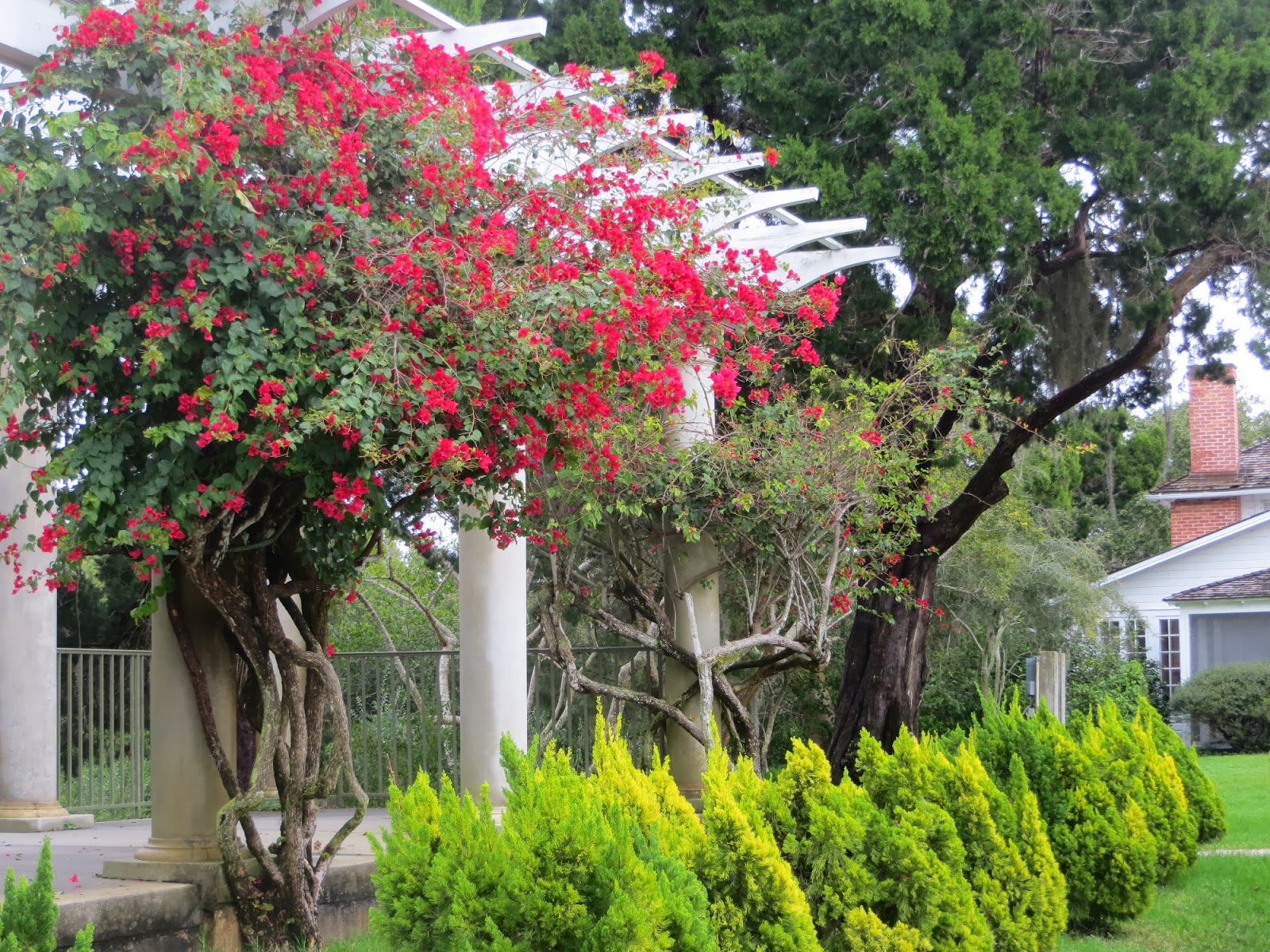 Paulette et Rodrigue, voyage 2013-2014: Historic Spanish Point, Osprey, FL