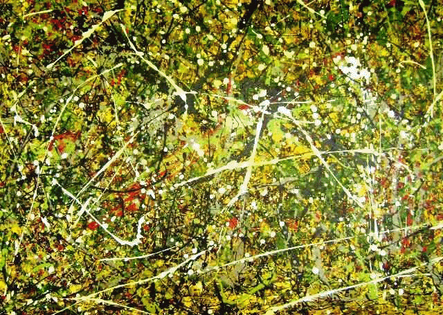 DOUTRINA ESPÍRITA: CONEAN 2011 ARAÇATUBA SP