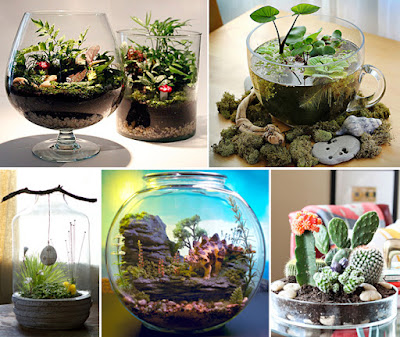 Ideas DIY : Terrarios