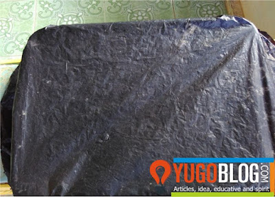 agar cabai cepat berkecambah