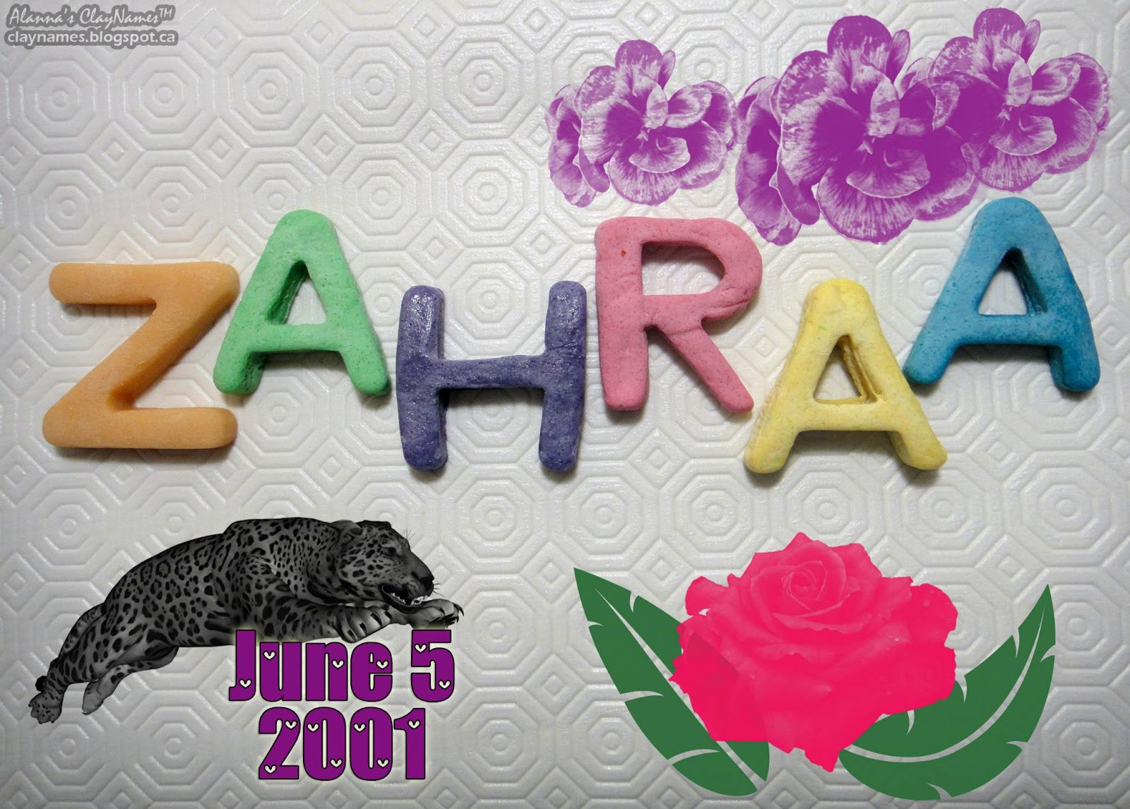 Baby Alanna's Clay Names Zahraa