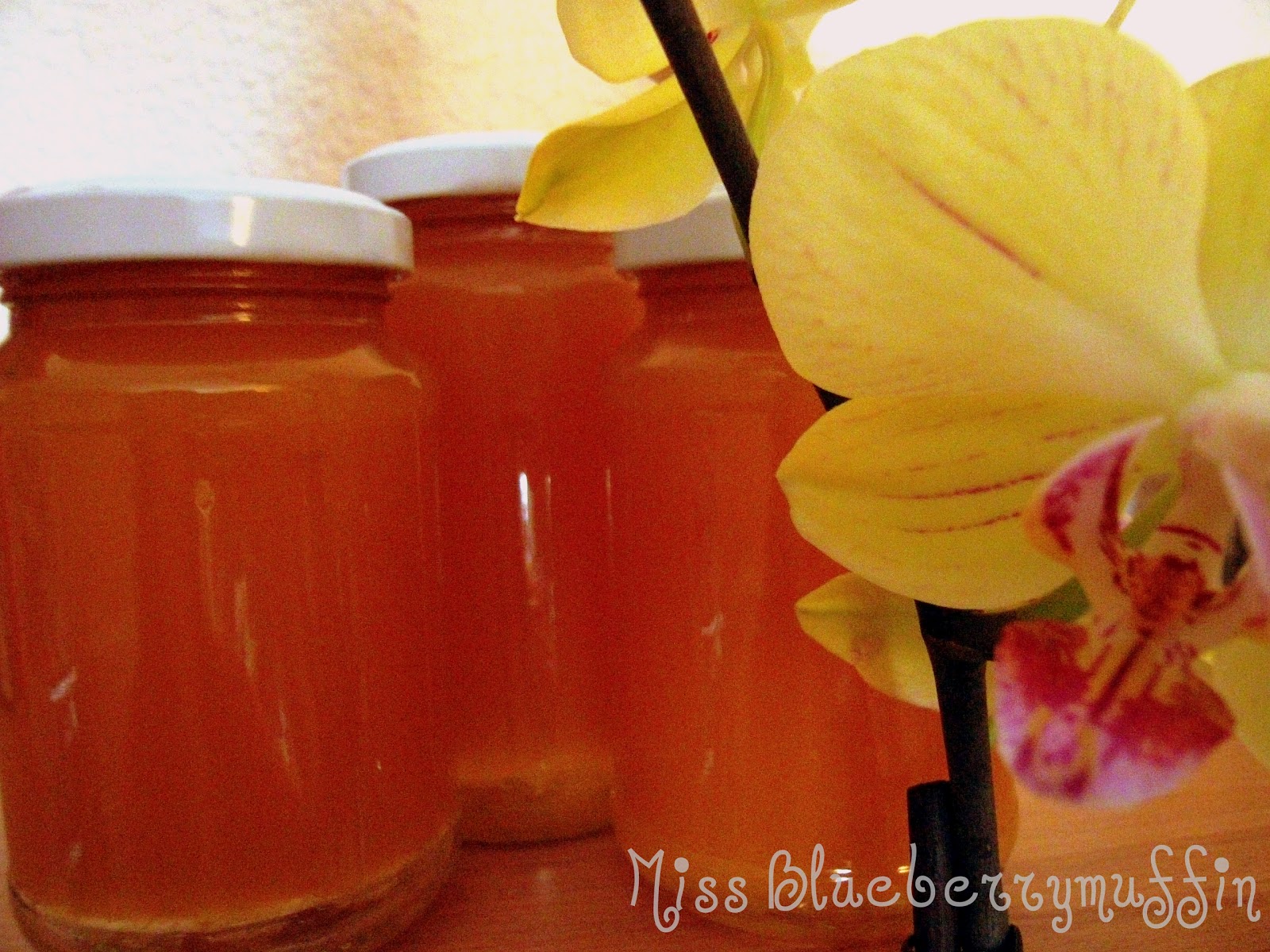 Pfirsich-Mango-Marmelade: Sommer zum Frühstück