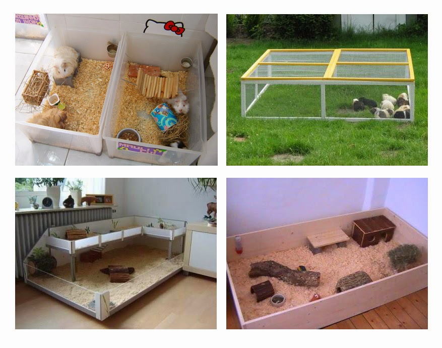 Cercado para filhotes caseiro Clearance