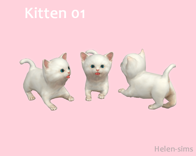 Helensims TS4 Kittens