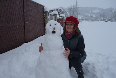 CLUJUL, AZI- A VENIT IARNA!