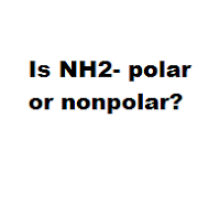 Is NH2- polar or nonpolar?