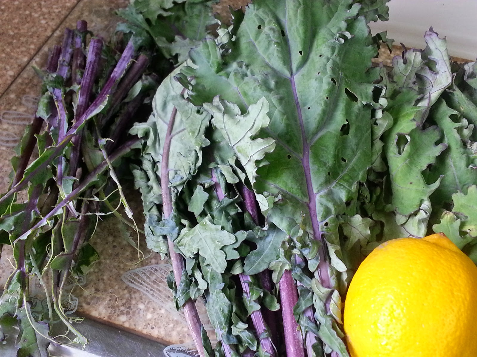 full tummies Everyday Kale