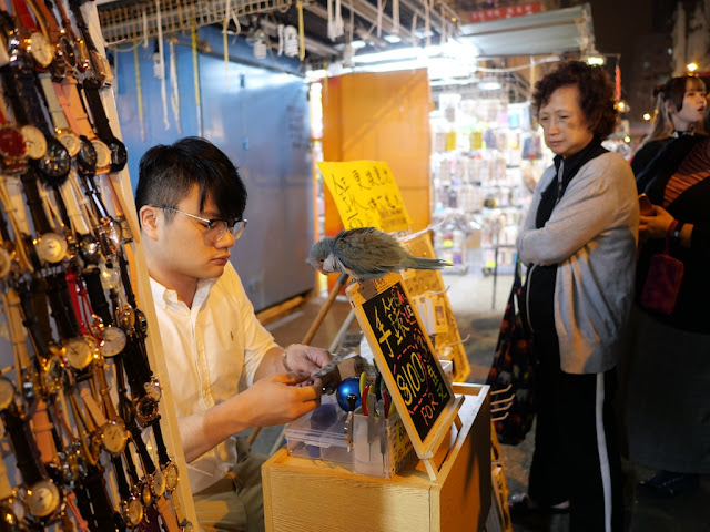 bird watching a watch fixer at the Fa Yuen Market in Mong Kok, Hong Kong