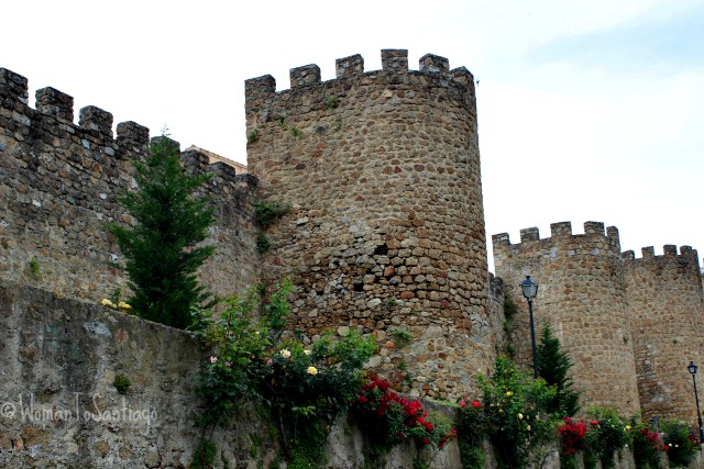 foto de la muralla