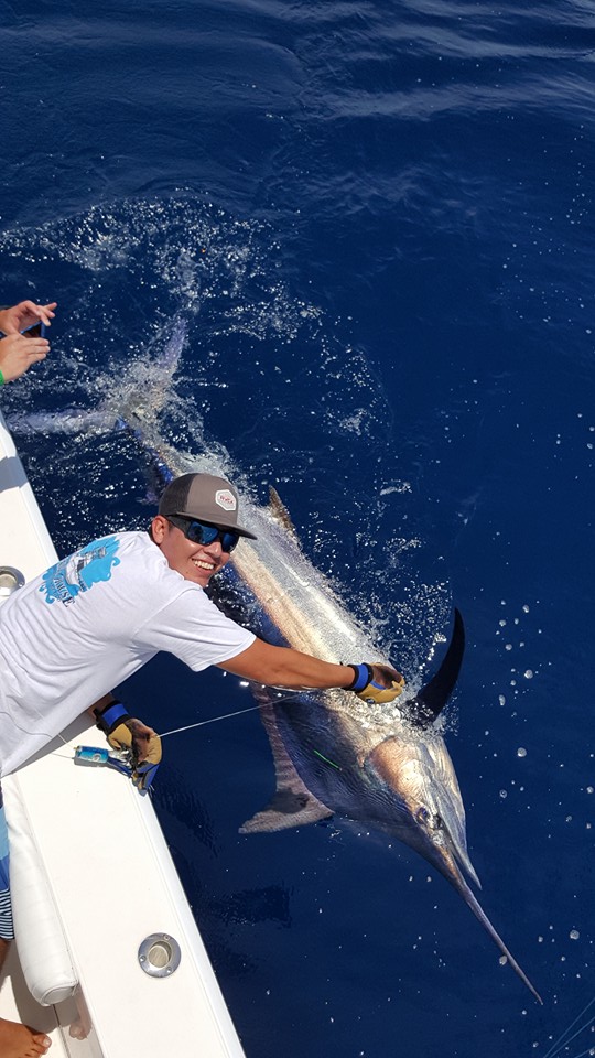 PV Sportfishing: Marlin catch and Release Puerto Vallarta fishing Report