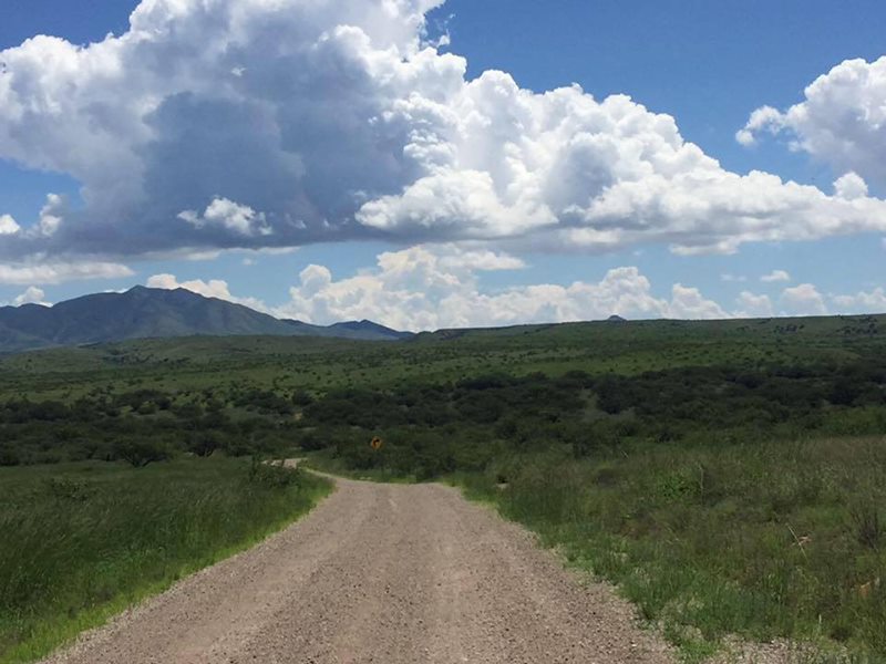 Las Aventuras The Grassland Road