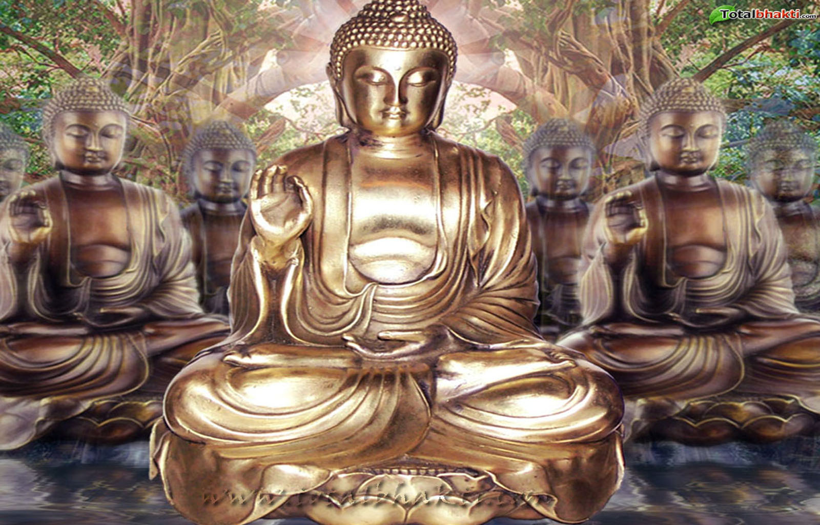 Buddhist dating site kostenlos
