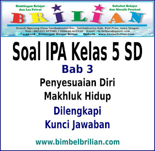 Soal IPA Kelas 5 SD BAB 3 Penyesuaian Diri Makhluk Hidup Dan Kunci Jawaban