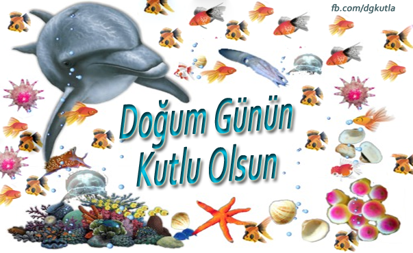 Yunus balıklı doğum günü kartı