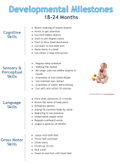 23 Months Milestones Chart