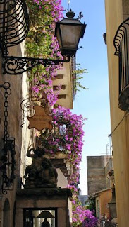 Container Gardens