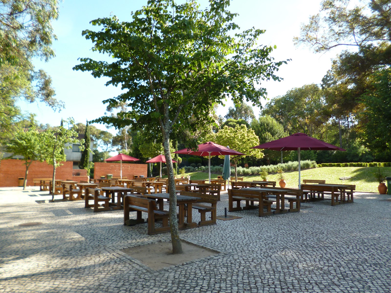 Picnikar Parque de Merendas do Alvito Parque Florestal de Monsanto