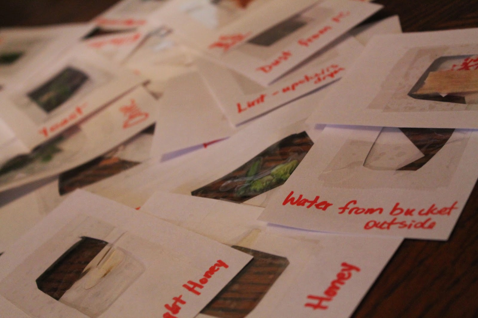 Mom's Frugal Make Your Own Homemade Slides for Microscopes