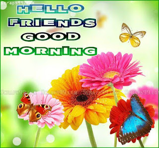 gd mrg