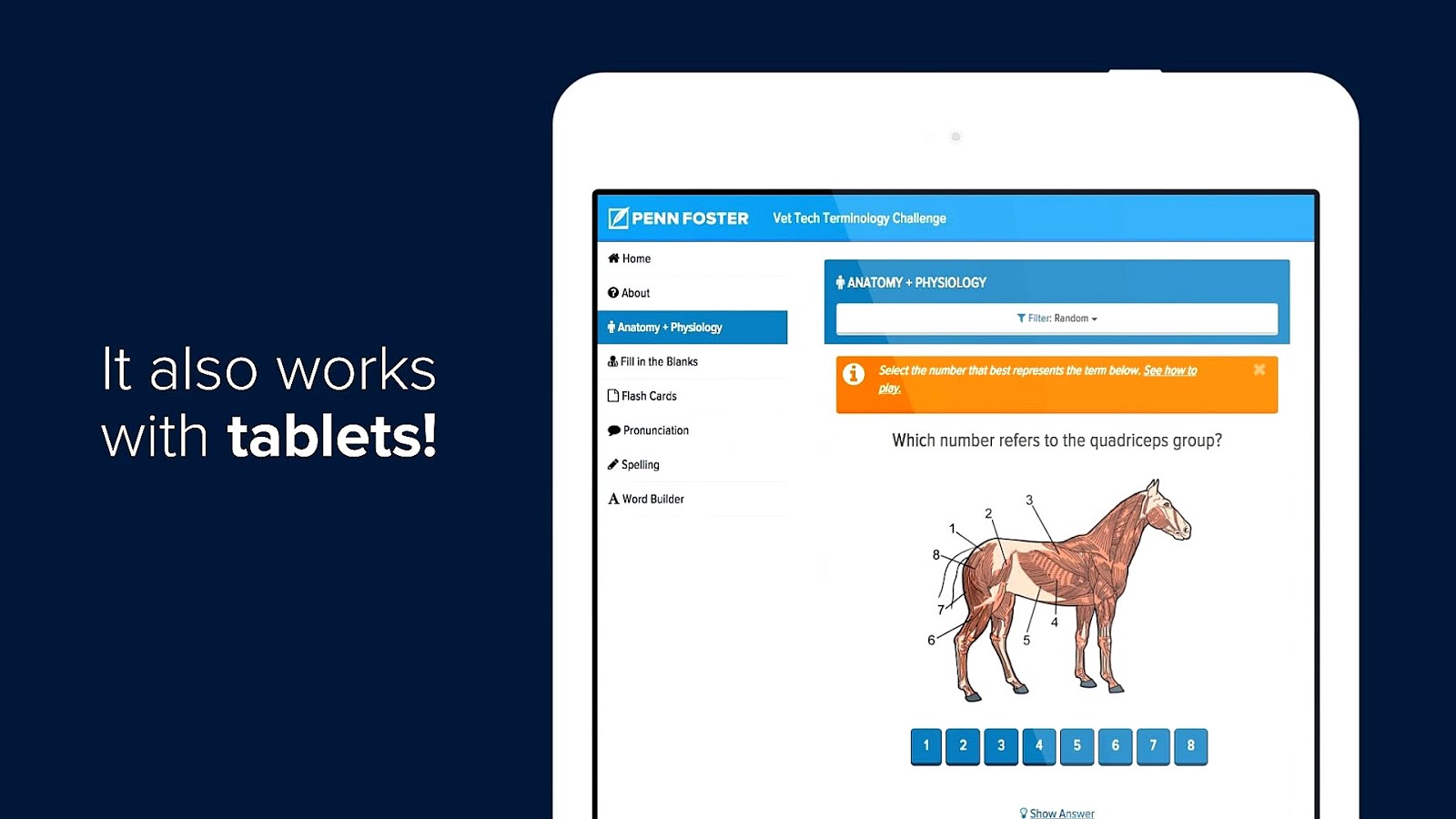 Vet Tech Online Colleges College Choices