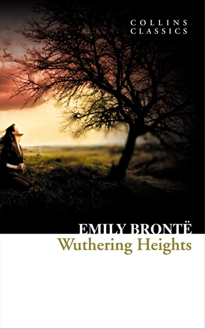 Stupidity in wuthering heights