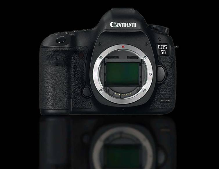 Michael Daniel Ho The Wildlife Hotographer Canon EOS5D Mark IV