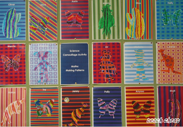 Teach Cheat: Camouflage Animals