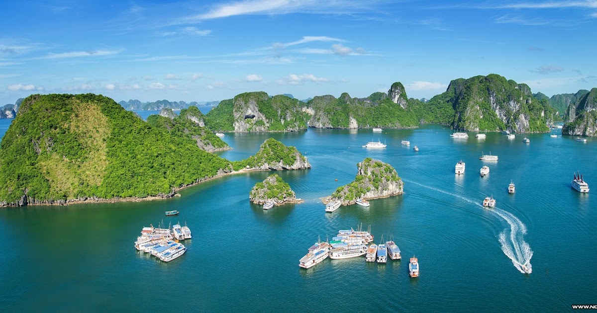 Việt Nam có bao nhiêu di sản thế giới?