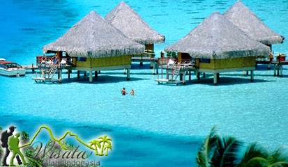 Objek Wisata Taman Laut Raja Ampat Papua | Objek Wisata Alam Indonesia