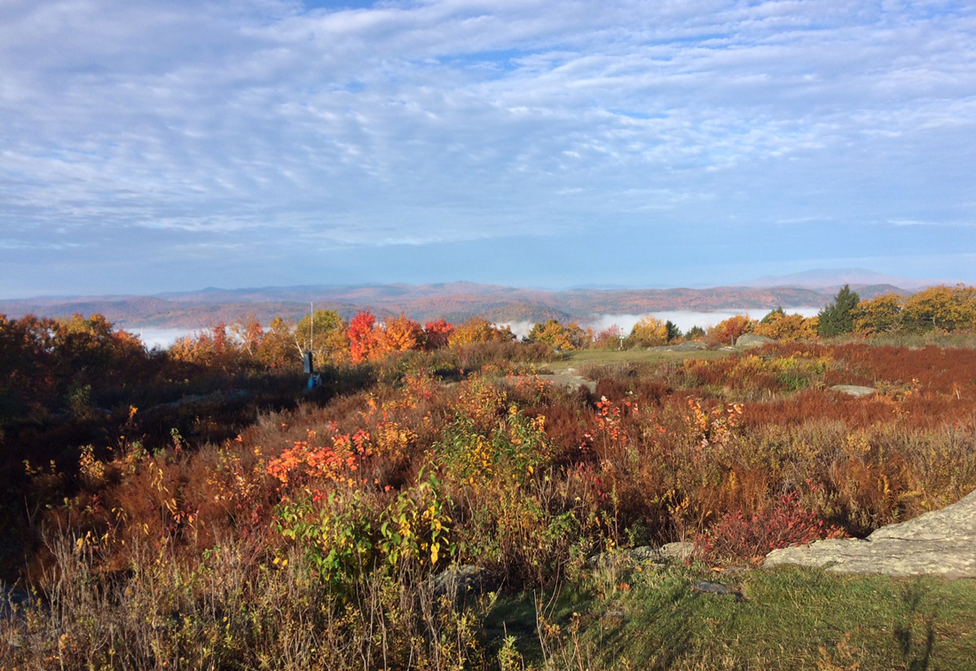 Pioneer Birding VT Putney morning