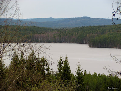 Finnskogen Världsarv i Svt