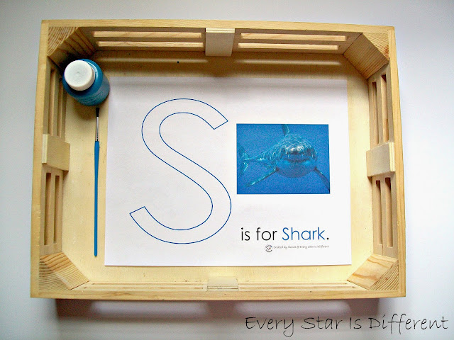 S is for Shark