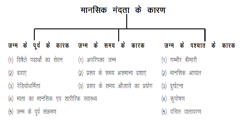 मानसिक मंदता के कारण मानसिक मंदता के कारण