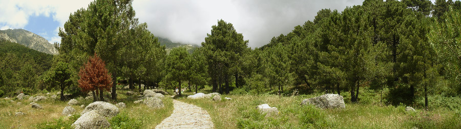 PANORAMICAS