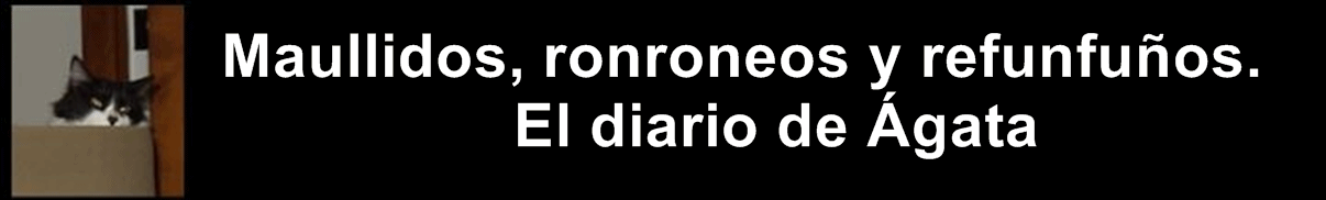 DIARIO DE ÁGATA; RONRONEOS Y MAULLIDOS DESDE MI RINCÓN