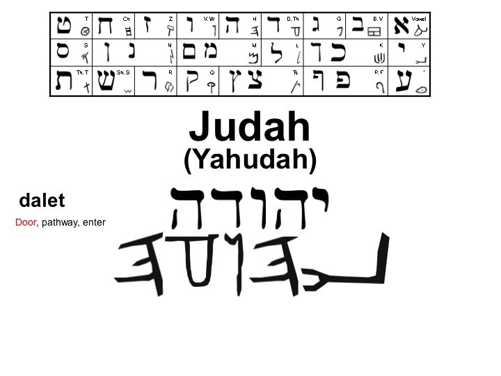 Tammy's Notes The Lion of the Tribe of Judah