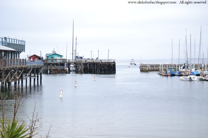 Fun Clicks Weekend Trip Monterey Bay (Part I)