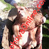 Cow bears a two-headed calf in Gjirokastra (Photo)