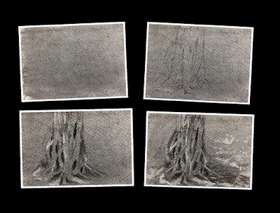 Step by step charcoal study sketch of a tree trunk by Manju Panchal
