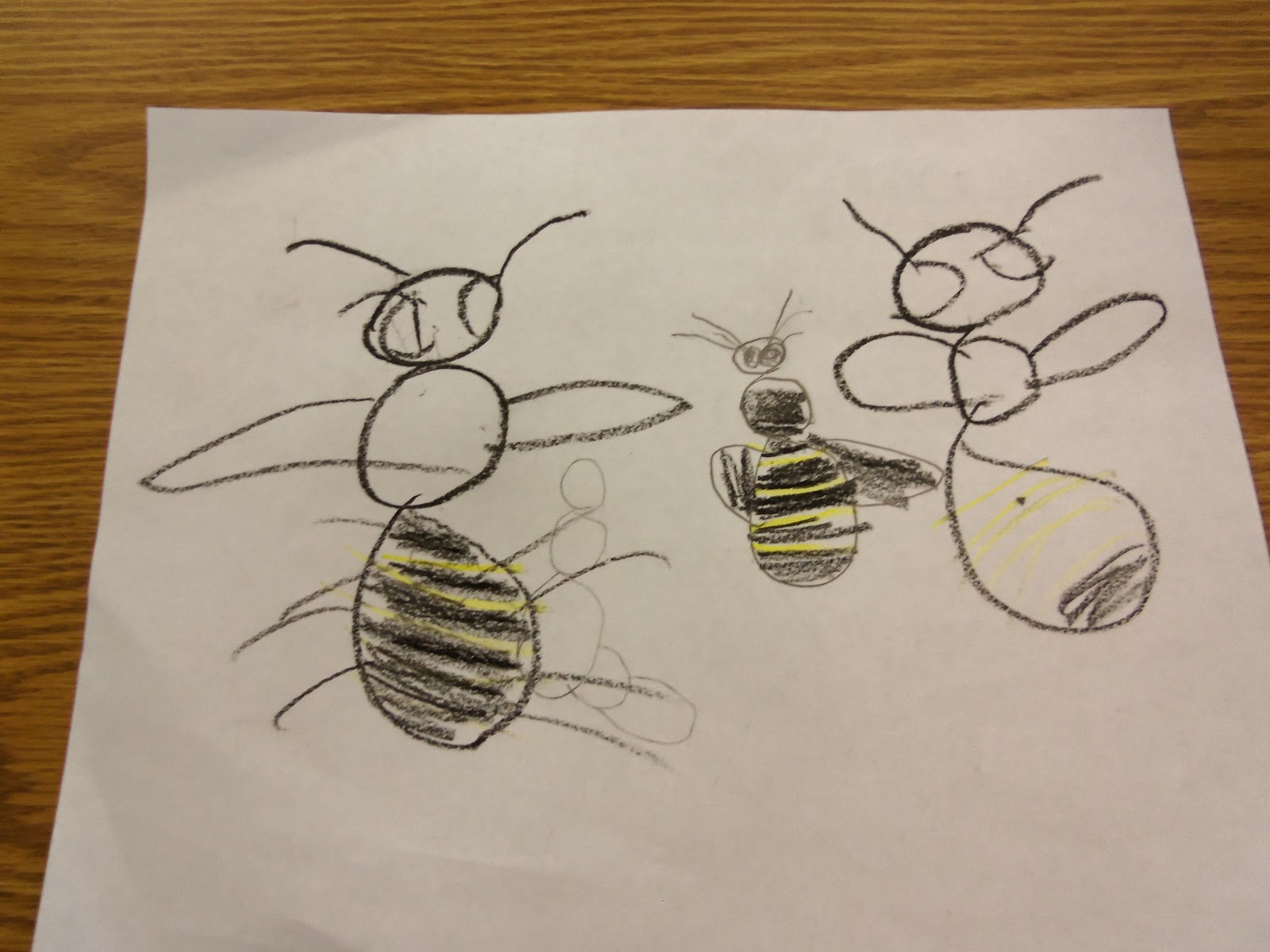 Caleb's Creek Media Matters: Bee-Ware of a Fun Project