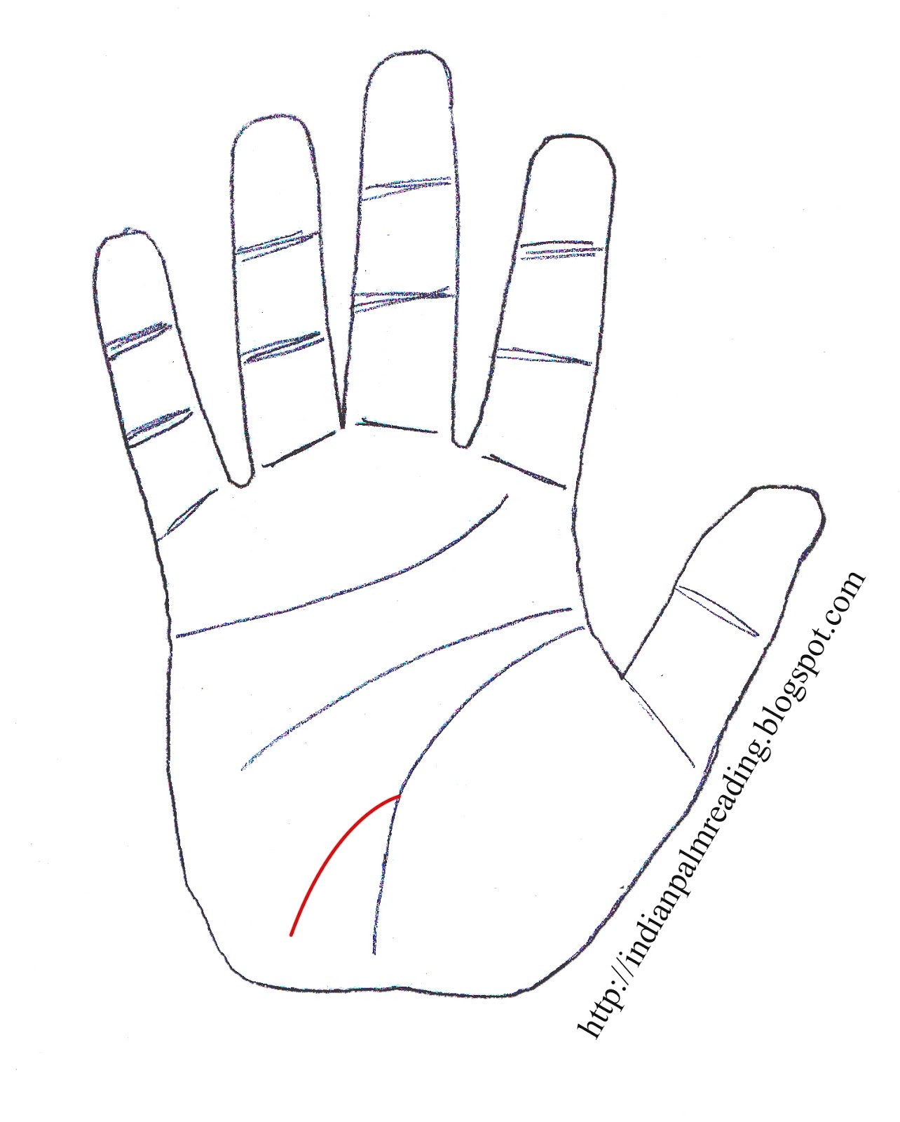Branches From Life Line Palmistry INDIAN PALMISTRY PALM READING