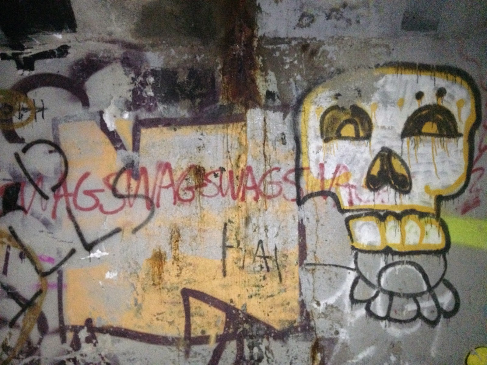 Kiwi S Angels Joe Nadie Parrot Graffiti In Peru