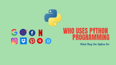 Who uses python programming