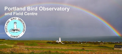 Portland Bird Observatory and Field Centre
