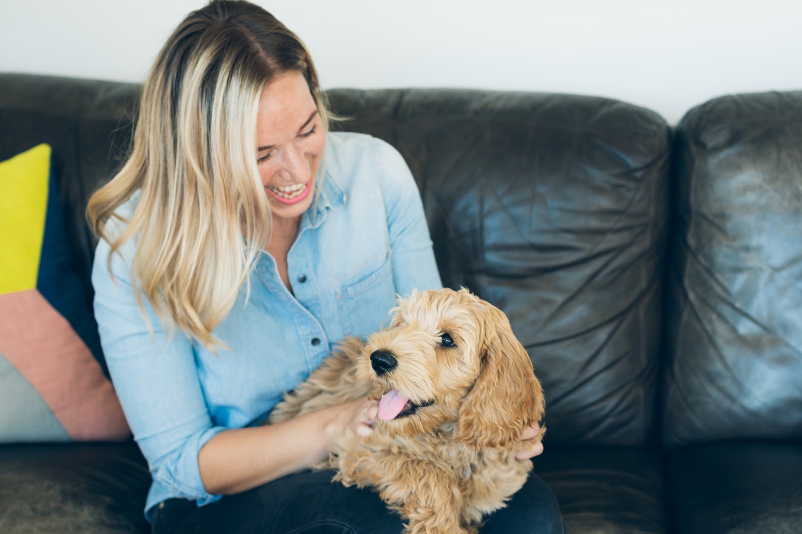 New Age Mama How to Make Extra Money PetSitting