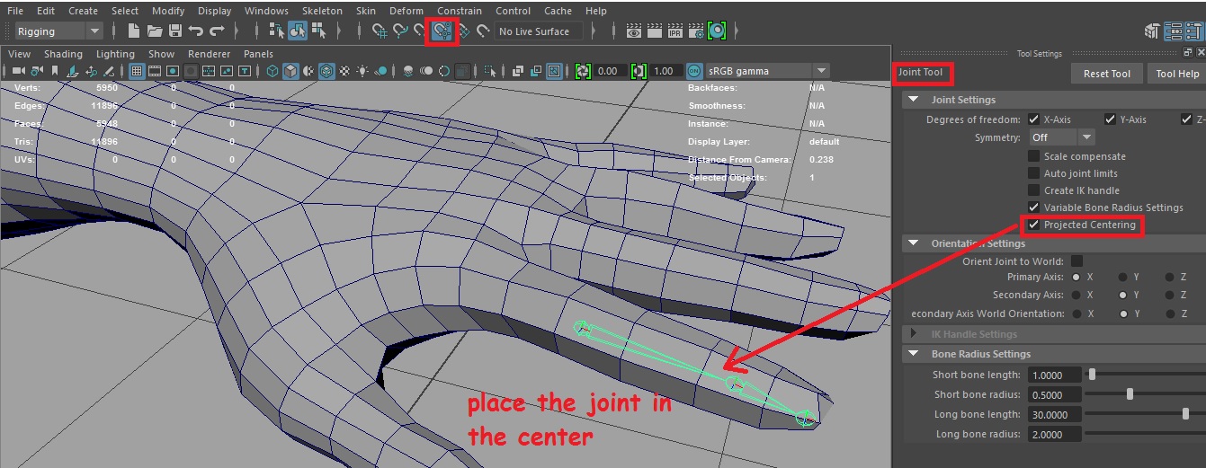Character/Pipeline TD Maya Joint Placement