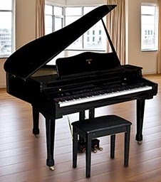 sam's club baby grand piano