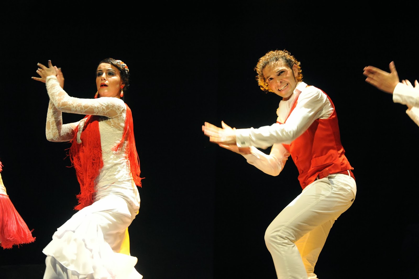 Flamenco baile essay 08 image